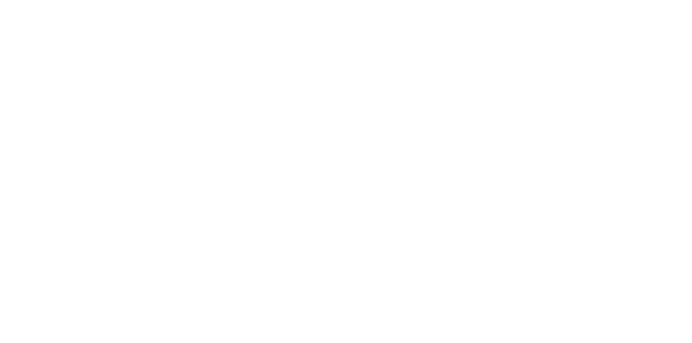 Cyber Service Group